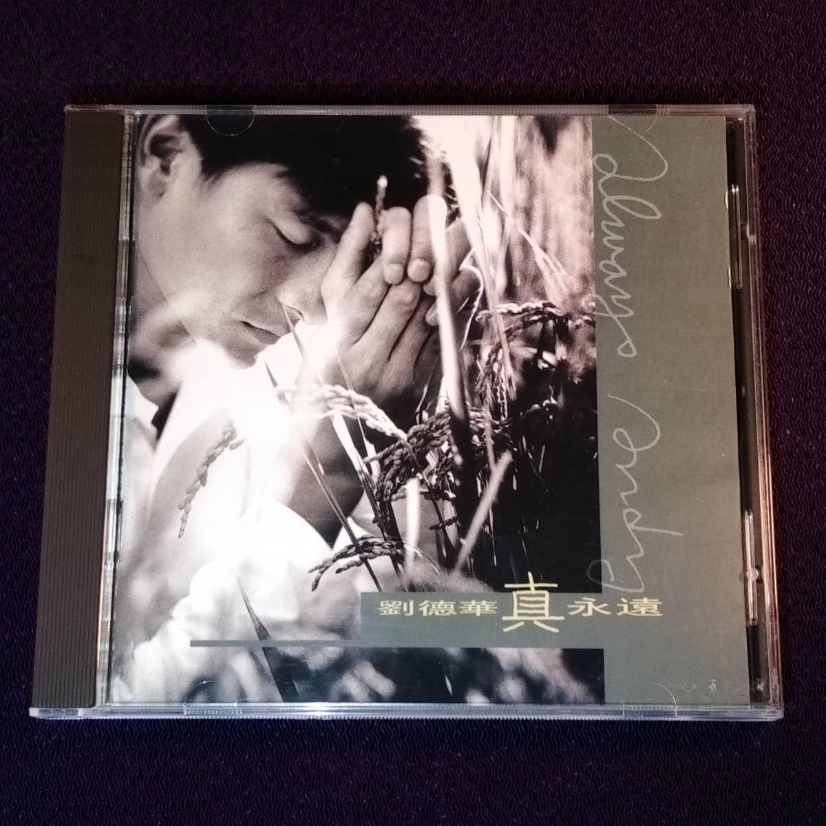 : 劉徳華 アンディ・ラウ CD／真永遠 1995年 香港盤