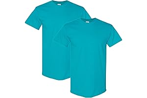 Teal T-Shirt for Men: Style G5000 Multipack