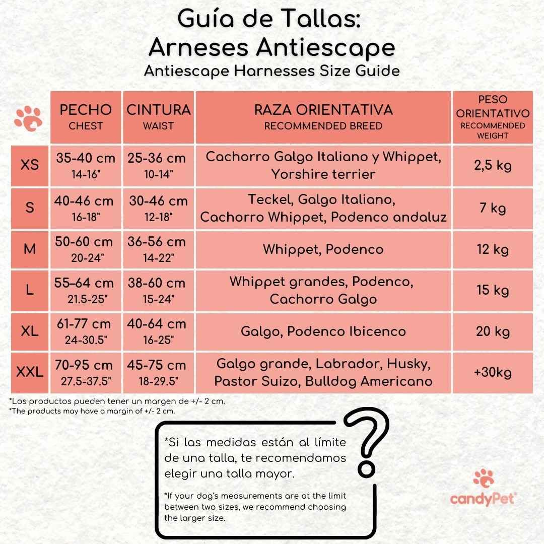Arnés de 3 Puntos Antiescape Antitirones - Ideal para Lebreles: Galgo Italiano, Whippet, Galgo, Podenco - Seguro, Transpirable y Duradero - Perfecto para Caminar, Entrenar y Correr - ANTRACITA, L