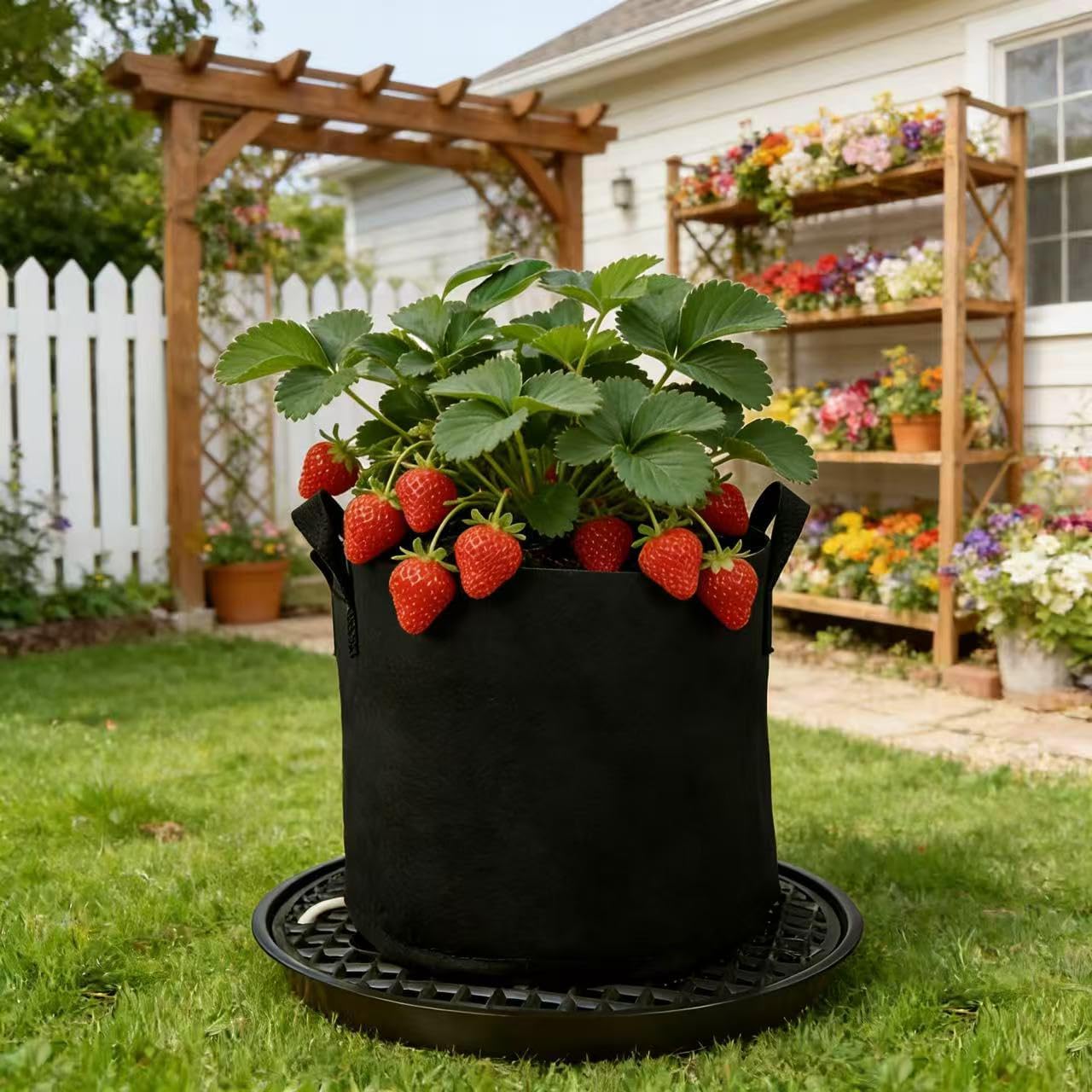 8 Pack 16 inch Self Watering Base for Fabric Grow Bag, Self-watering Plastic Elevated Plant Saucer Stand, Automatic Watering Tray for Non-woven Planter Flower Pot Growth Tent Greenhouse Indoor Outdoor
