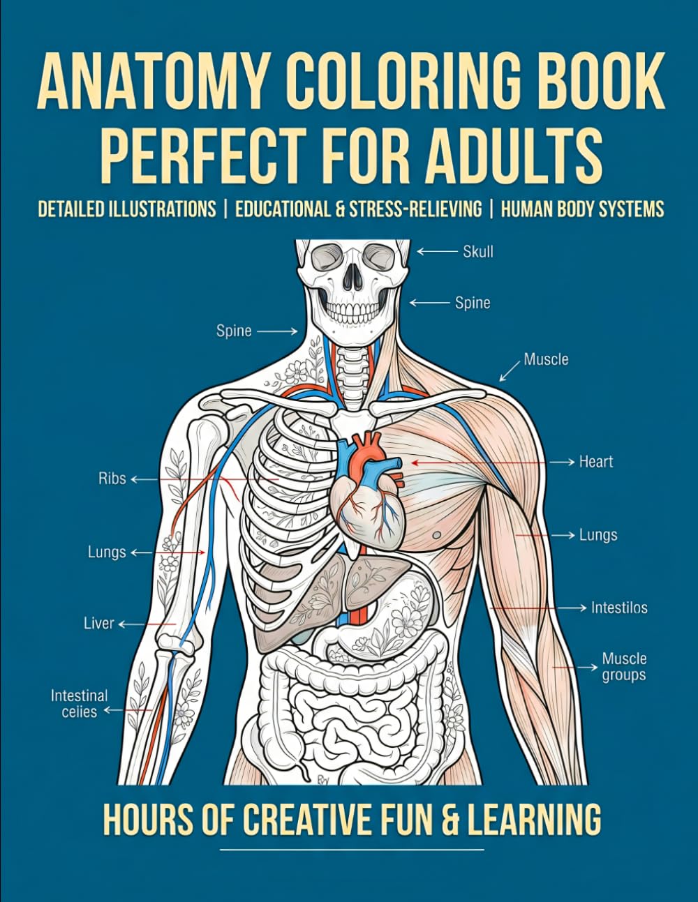 Anatomy Coloring Book: A Relaxing and Educational Journey Through the Human Body | Detailed Anatomy for Adults, Students & Beginners