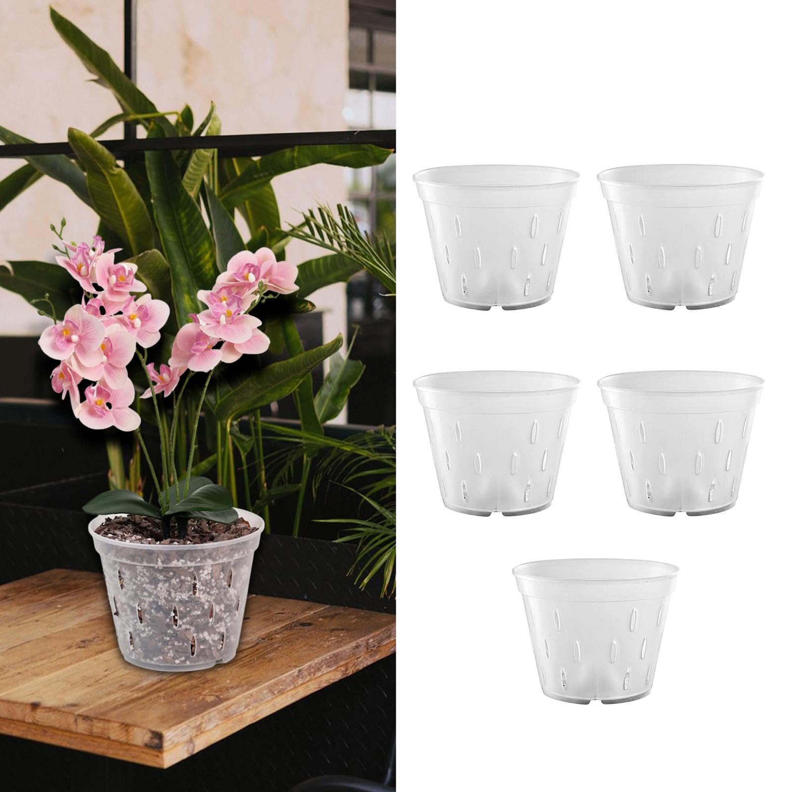 Amazon.co.jp: Generic 透明蘭鉢、植木鉢、植木鉢、穴付き透明