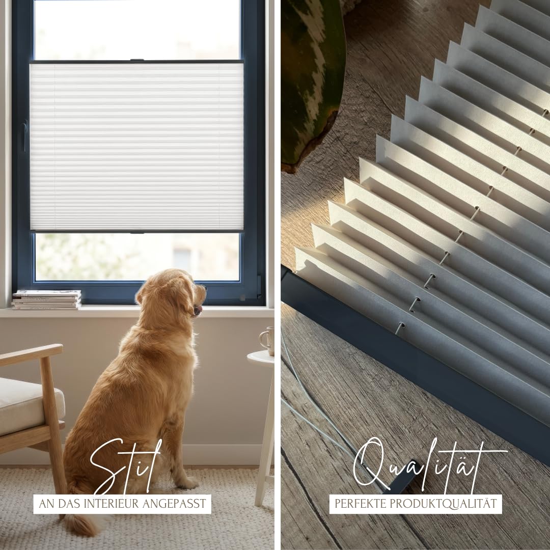 Home-Vision Premium Plissee Klemmfix Graphit B95 x H200cm Profil Anthrazit | Ohne Bohren Sonnenschutz & Sichtschutz Faltrollo Easyfix Klemmträger für Fenster und Tür