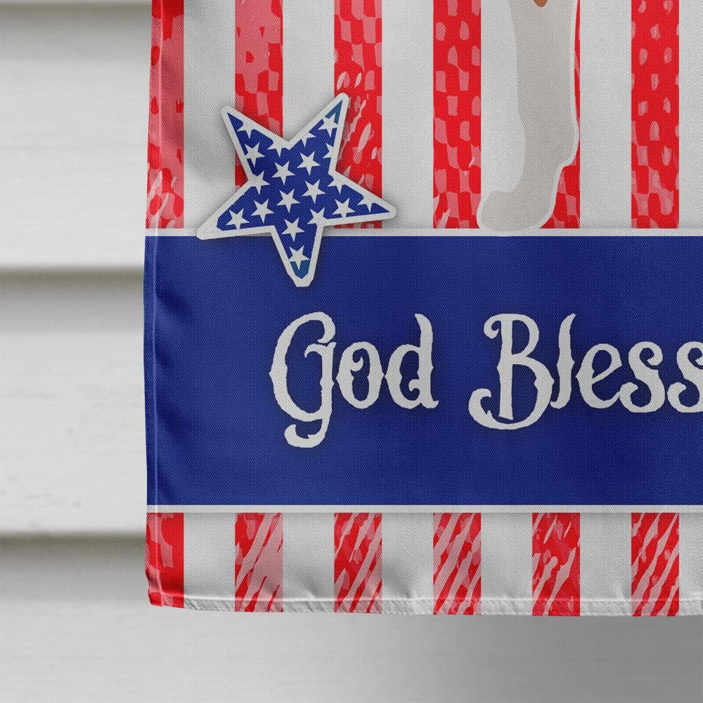 Caroline's Treasures BB8423CHF Smooth Rough American House Flag Large Porch Sleeve Pole Decorative Outside Yard Banner Artwork Wall Hanging, Polyester, House Size, Multicolor