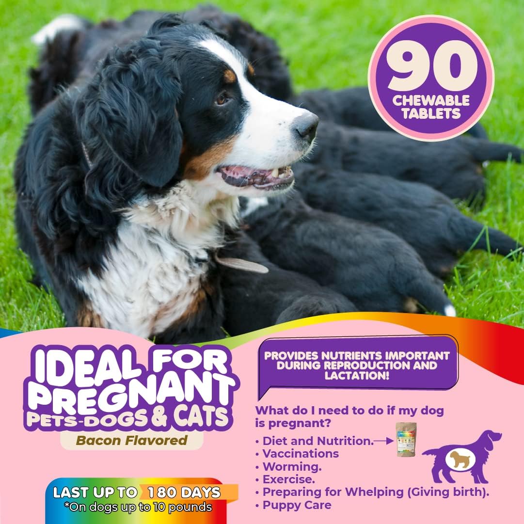 Dog Prenatal Vitamins – Multivitamin, Folic Acid, Calcium, Iron, Minerals and Amino Acids. Ideal for Pregnant, Breastfeeding and Newborn Pets – Senior Dog Supplement, Complete Puppy Multi Vitamin.