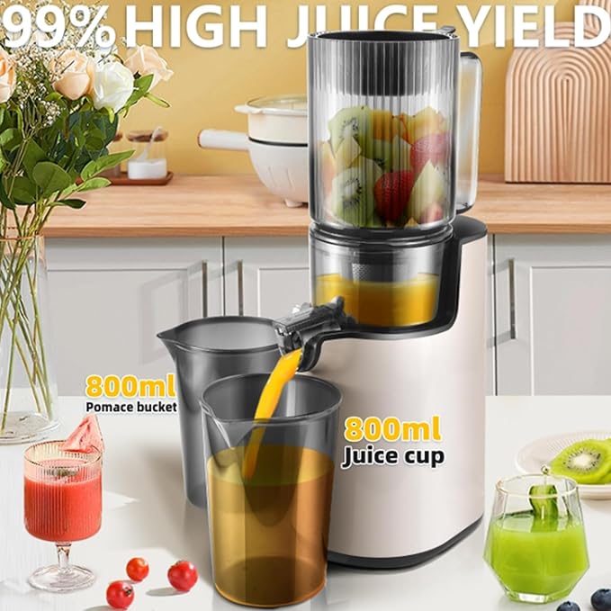 Extractor de Jugos Prensado Frío Boca Ancha 250W Alto Rendimiento 80% miniatura 2