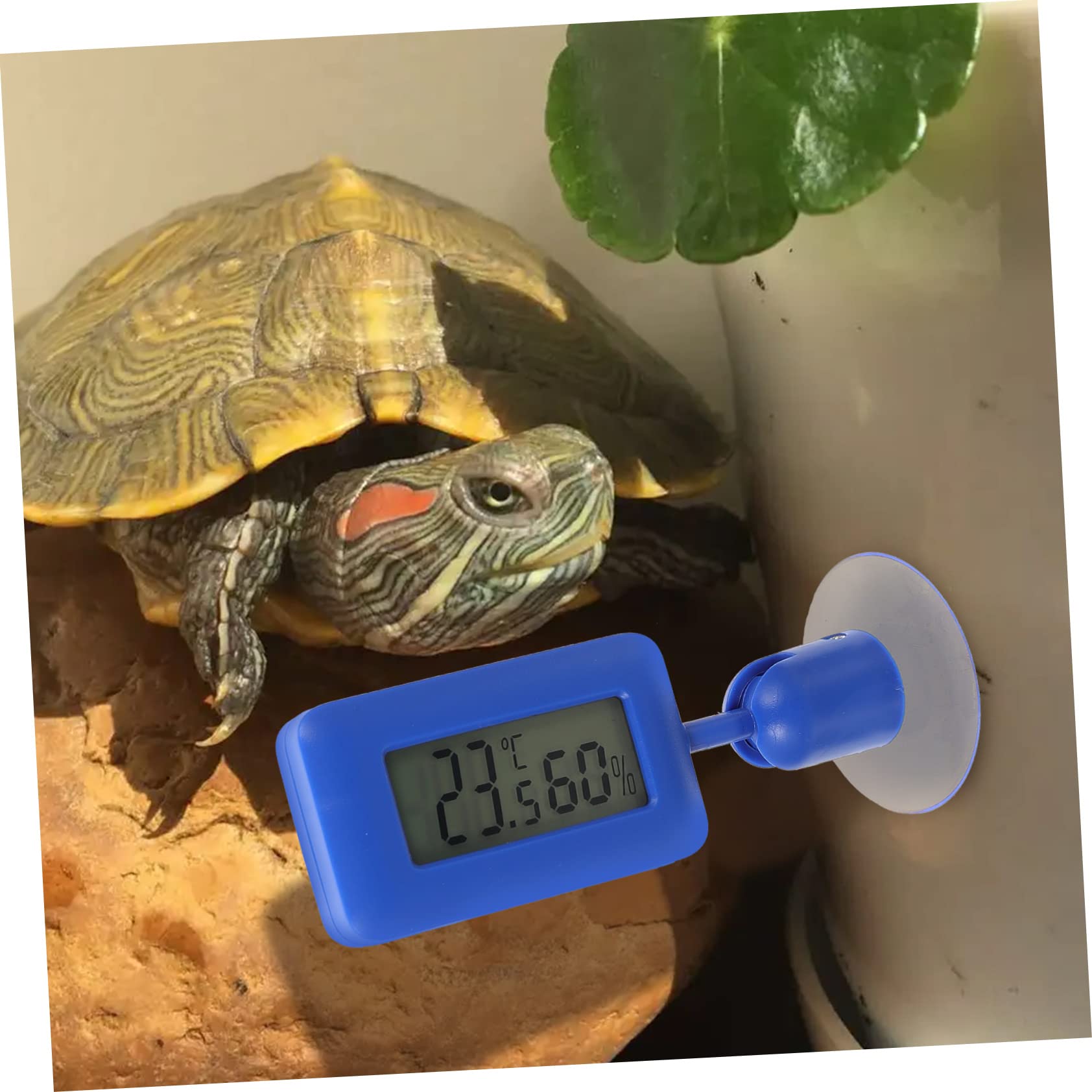 Housoutil 4piezas Digital Para Reptiles Ventosa y Pantalla Lcd Medidor De Temperatura y Humedad Rotativo Para Terrarios y Acuarios Accesorios Para Dragones Barbados y Otros Reptiles