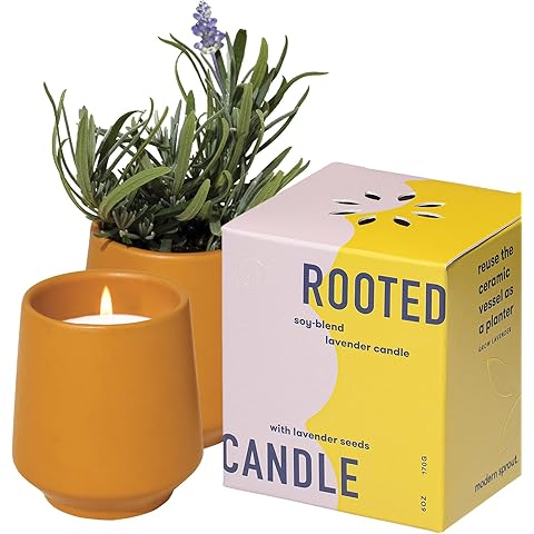 Modern Sprout Rooted Candle - 2 in 1 Cedarwood Scented & Soy Candle with Seeds That Grows into Lavender Plant - 6 oz w/ 42 hr Burn time in Matte Glaze Ceramic Vessel Ideal for Indoor Herb Garden