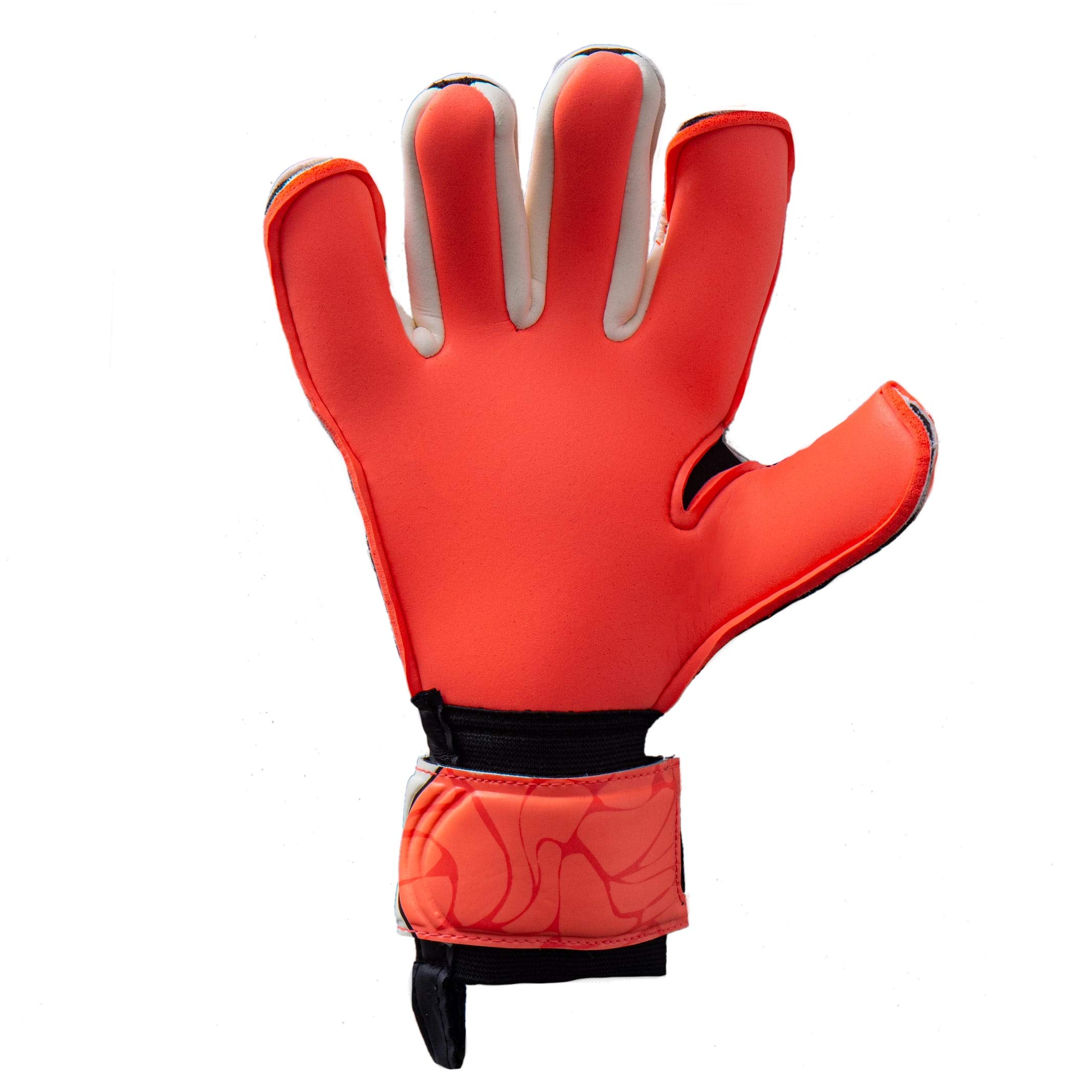 Amazon | HO SOCCER ゴールキーパーグローブ 51.0856 プレミア