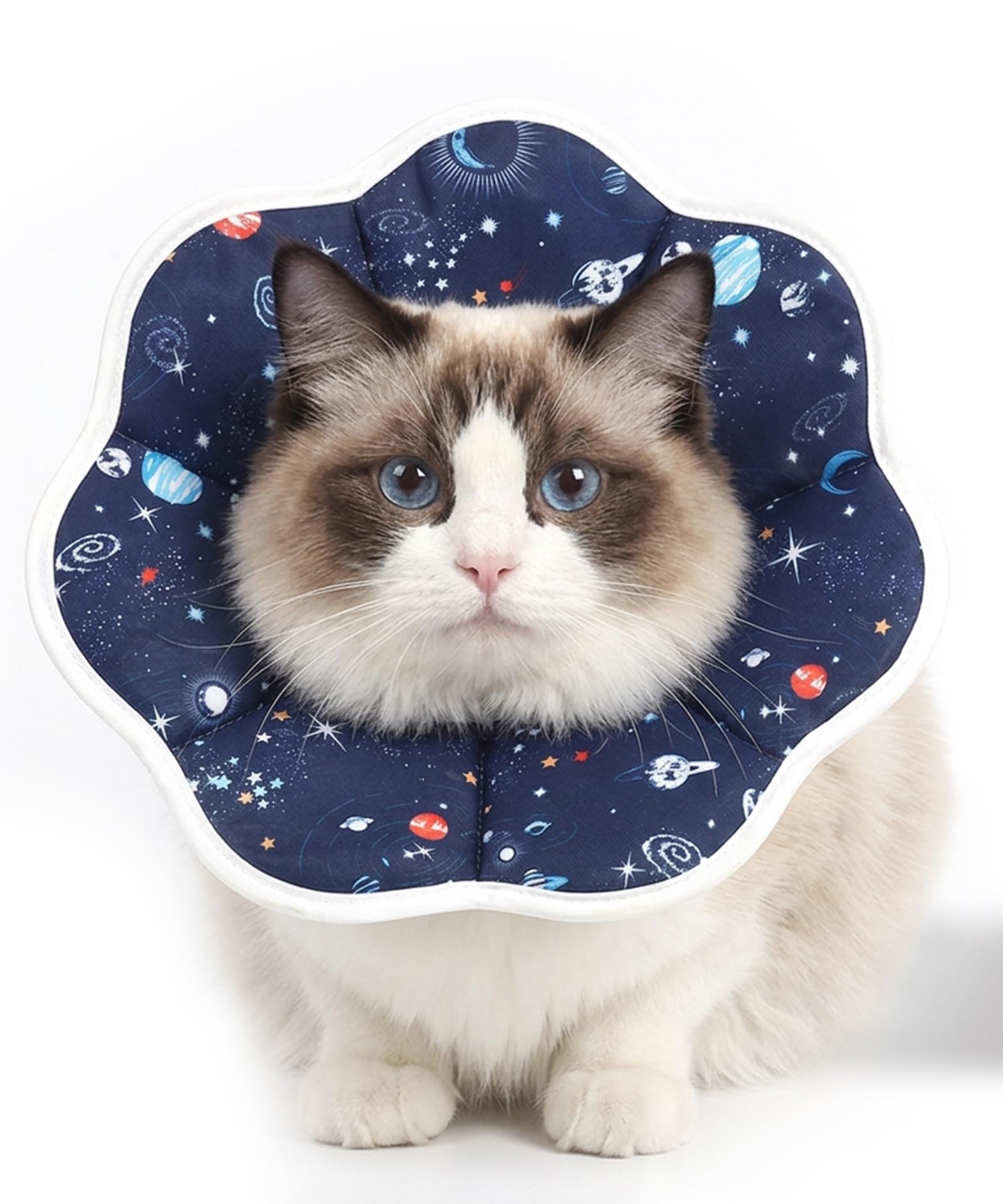 Cat Cone Collar Adjustable Lightweight Cat Recovery Collar to Stop Licking Protective Cats Neck Cone After Surgery for Small Animal Cats Kittens Puppies (S)