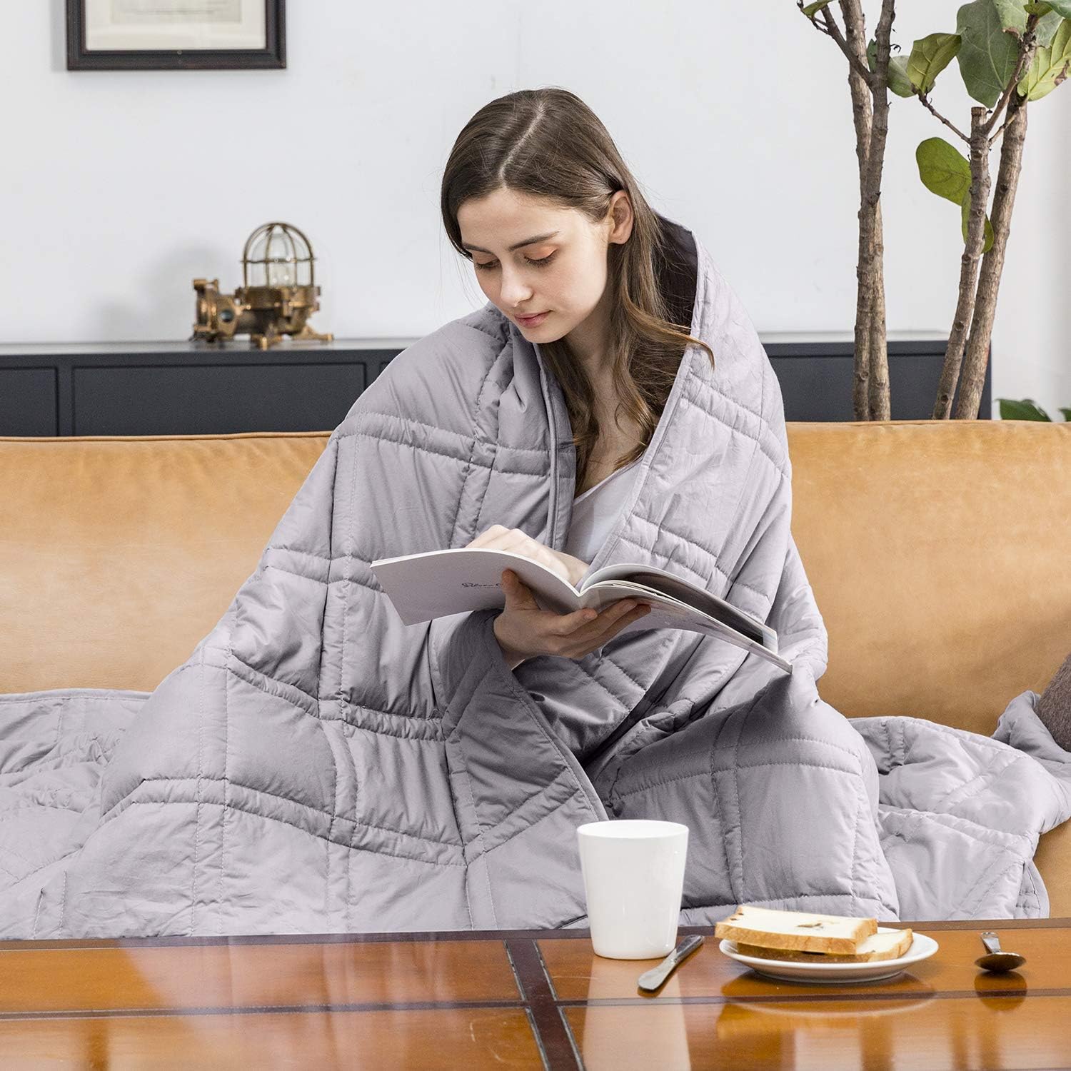 Black Friday Sale 2022 puredown Premium Adult Weighted Blanket Heavy Blanket 100% Cotton Material with Glass Beads 25 lbs,60x 80 Light Grey Get Special Price puredown Premium Adult Weighted Blanket Heavy Blanket 100% Cotton Material with Glass Beads 25 lbs,60x 80 Light Grey