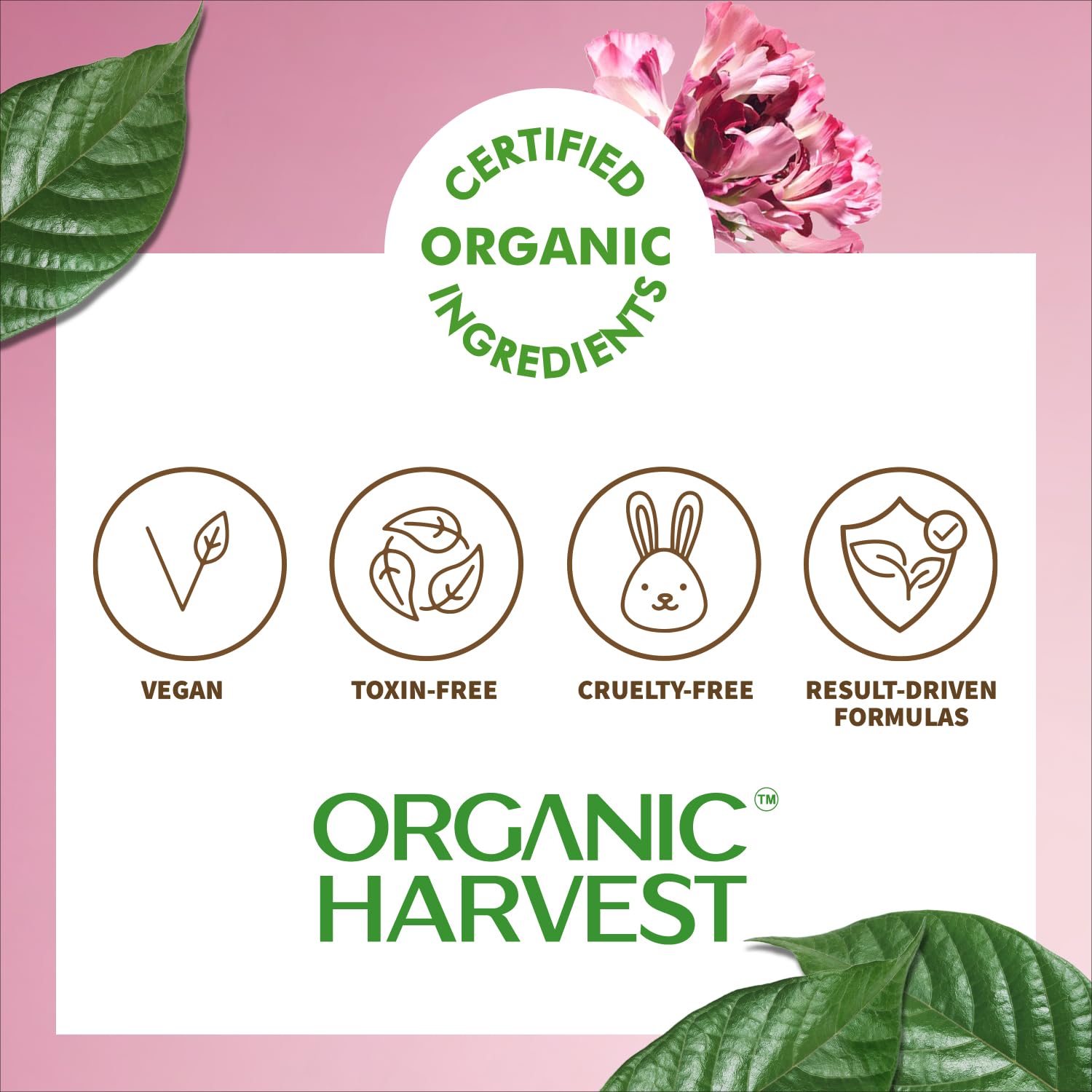 Organic Harvest Moisture Matte Lipstick – Cherry Red | langanhaltender roter, cremiger matter Lippenstift | feuchtigkeitsspendende Formel | zertifiziertes Bio-Make-up | tierversuchsfrei & vegan, 4 g