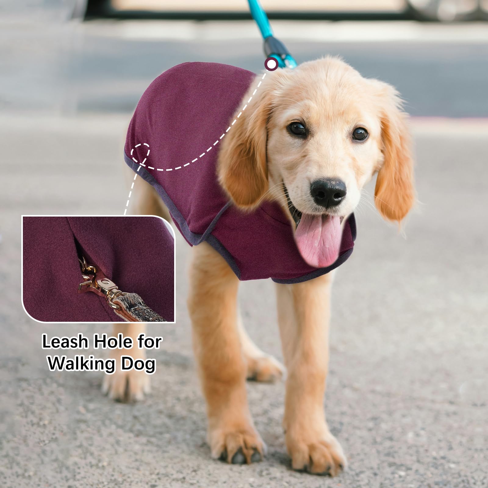 ROZKITCH Felpe per cani di piccola taglia, gilet invernale per cani di piccola taglia, maglione a collo alto elastico, maglietta leggera per cani di piccola e grande taglia, rosso, S