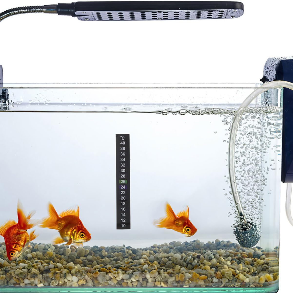 Hemobllo 12 pièces Autocollants Thermomètre Digital pour Aquarium Lot de Indication de Température Facile Stickers Adhésifs pour Aquariums et Bacs à Poissons
