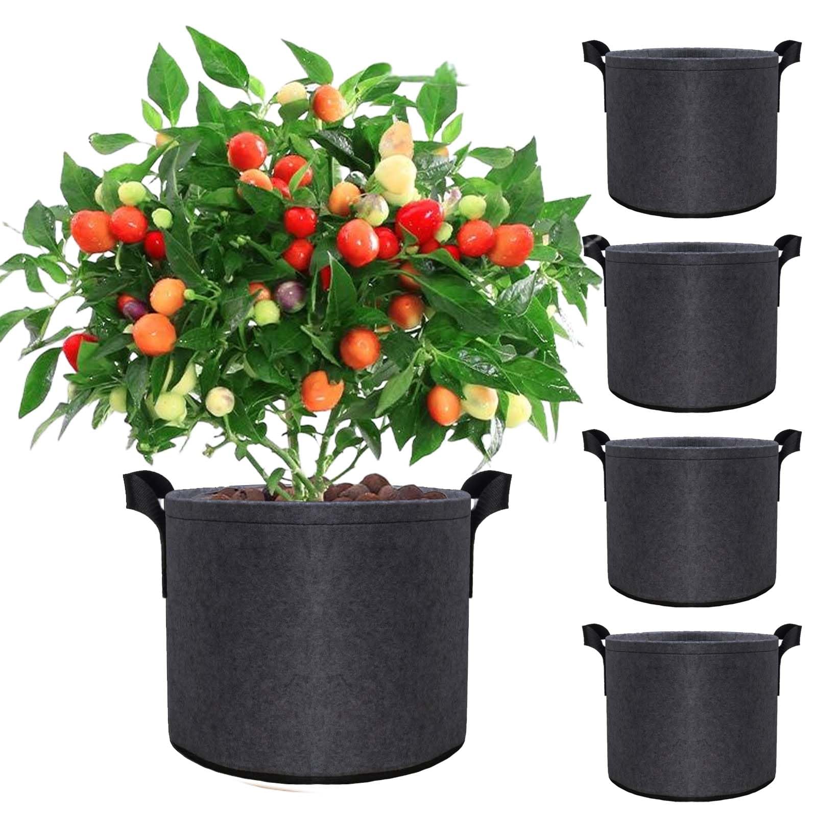 Amazon.com: 5 Pack 7 Gallon Plant Grow Bags, Aeration Pots for