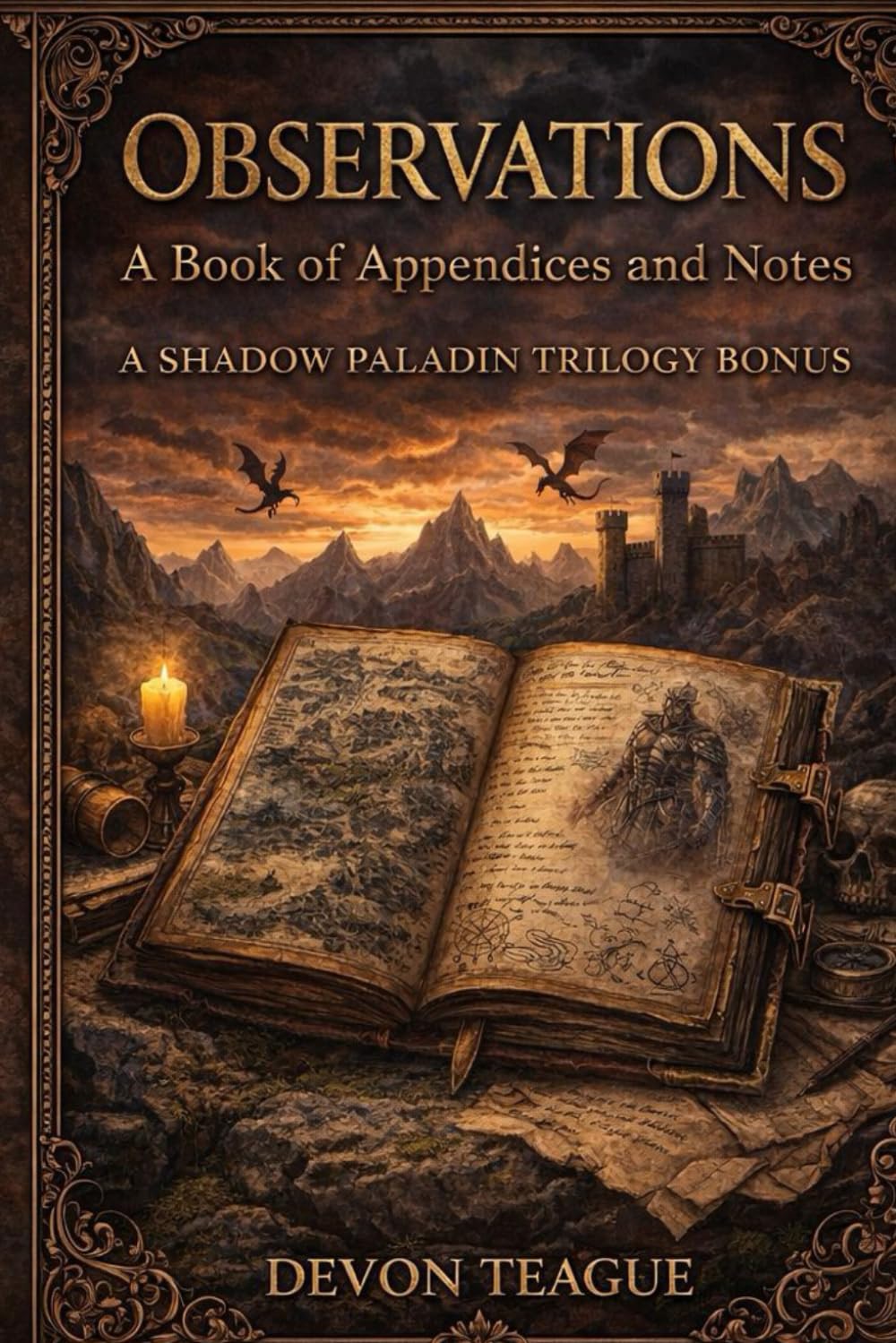 Observations A Book Of Appendices And Notes (The Shadow Paladin Trilogy)