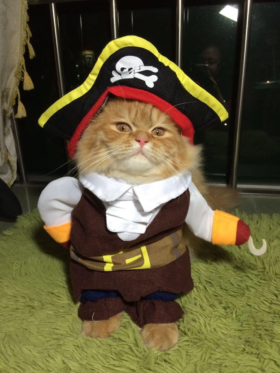 AirFong Fashion Pirates of the Caribbean Design Dog Clothes Costume for Dogs and Cats M