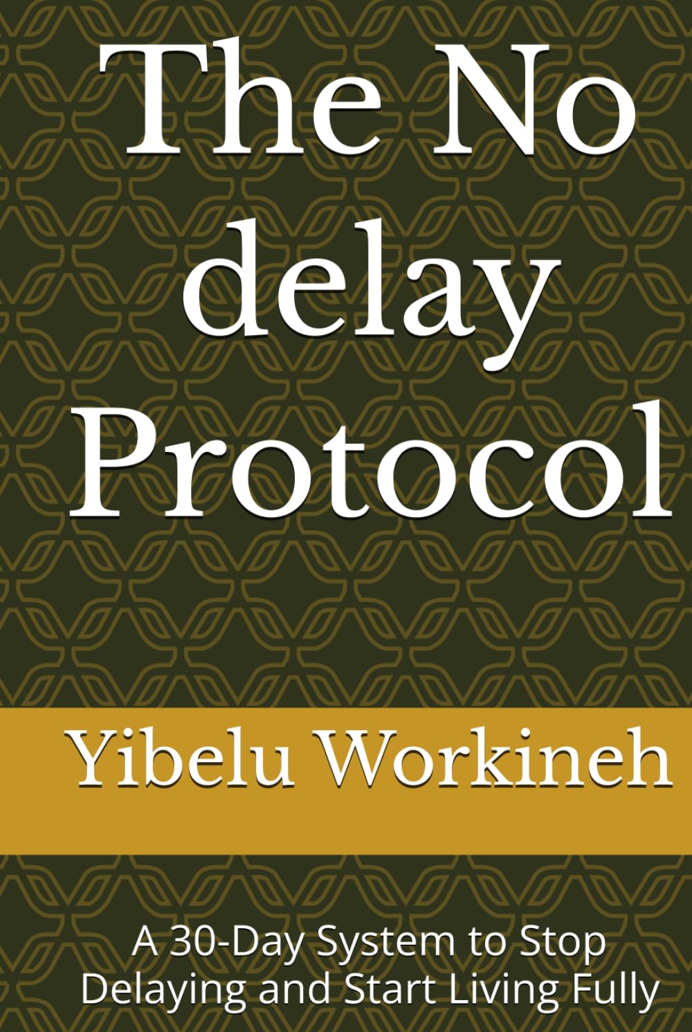 The No delay Protocol: A 30-Day System to Stop Delaying and Start Living Fully