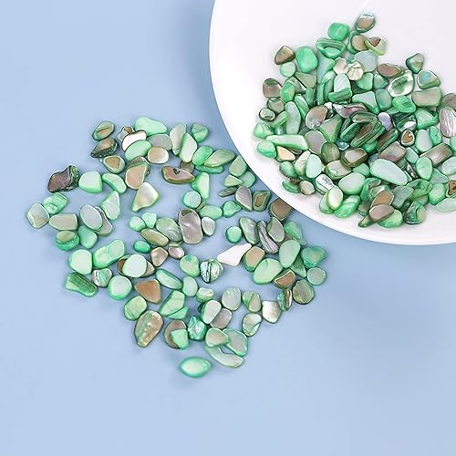Miniatura 6 de LYFJXX Crushed Shells for Crafts, Sea Shells for Kids DIY Art, Vase Fillers Table Scatter, Party Favor, Wedding Decoration, Succulents Plants Soil