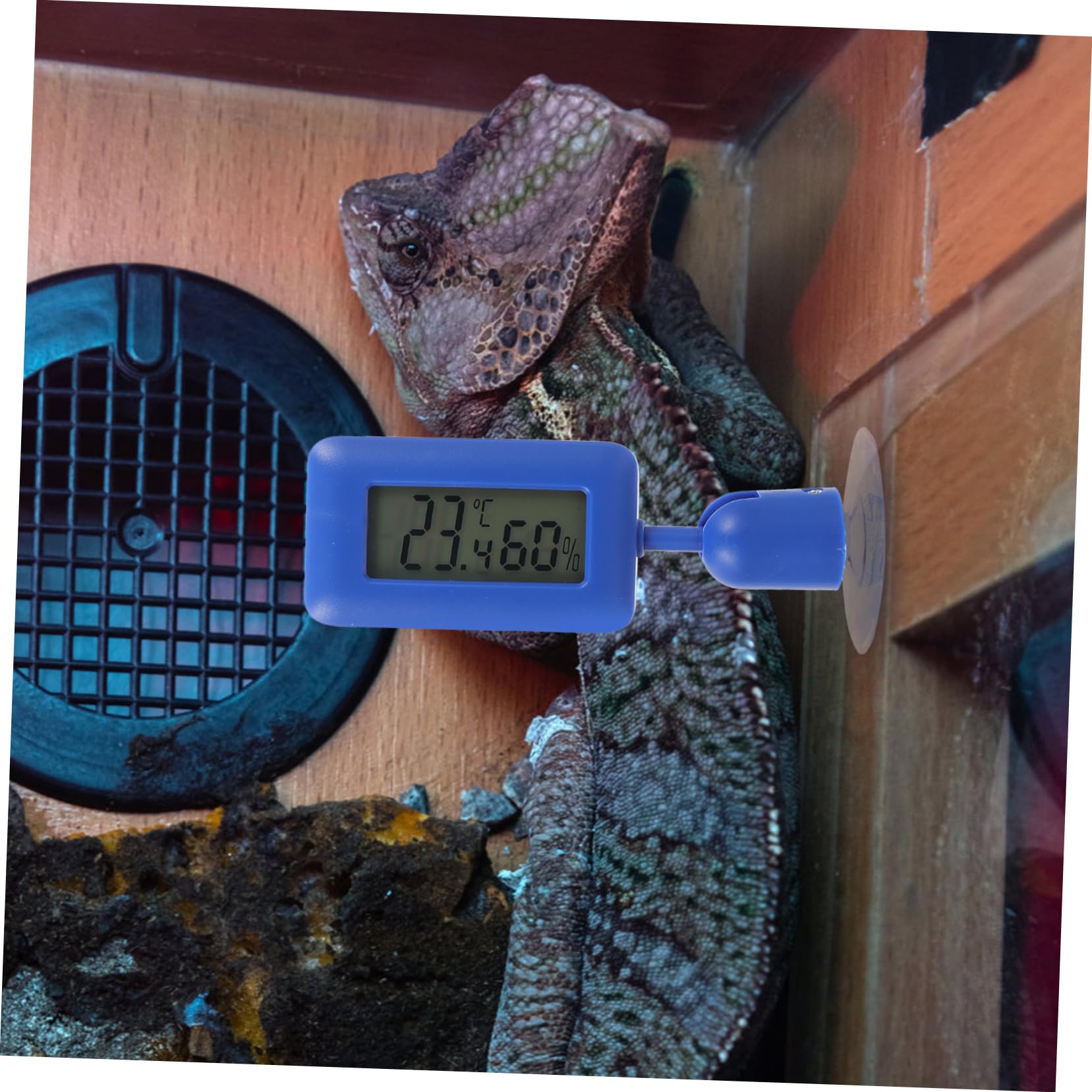 Sosoport 4stücke Reptilien-thermometer Mit Saugnapf Drehbar Blaues Hygrometer Für Terrarien Und Aquarien Digitale Temperatur Und Luftfeuchtigkeitsmessung Installieren Und Praktisch Für