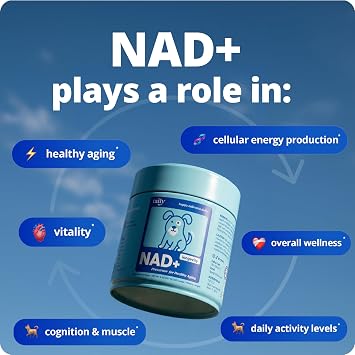 Taily NAD for Dogs Daily Longevity Supplement Supports Cellular Energy, Healthy Aging, Brain & Heart Function Nicotinamide Riboside Precursor for Dogs NAD+, Vet-Formulated, Made in USA