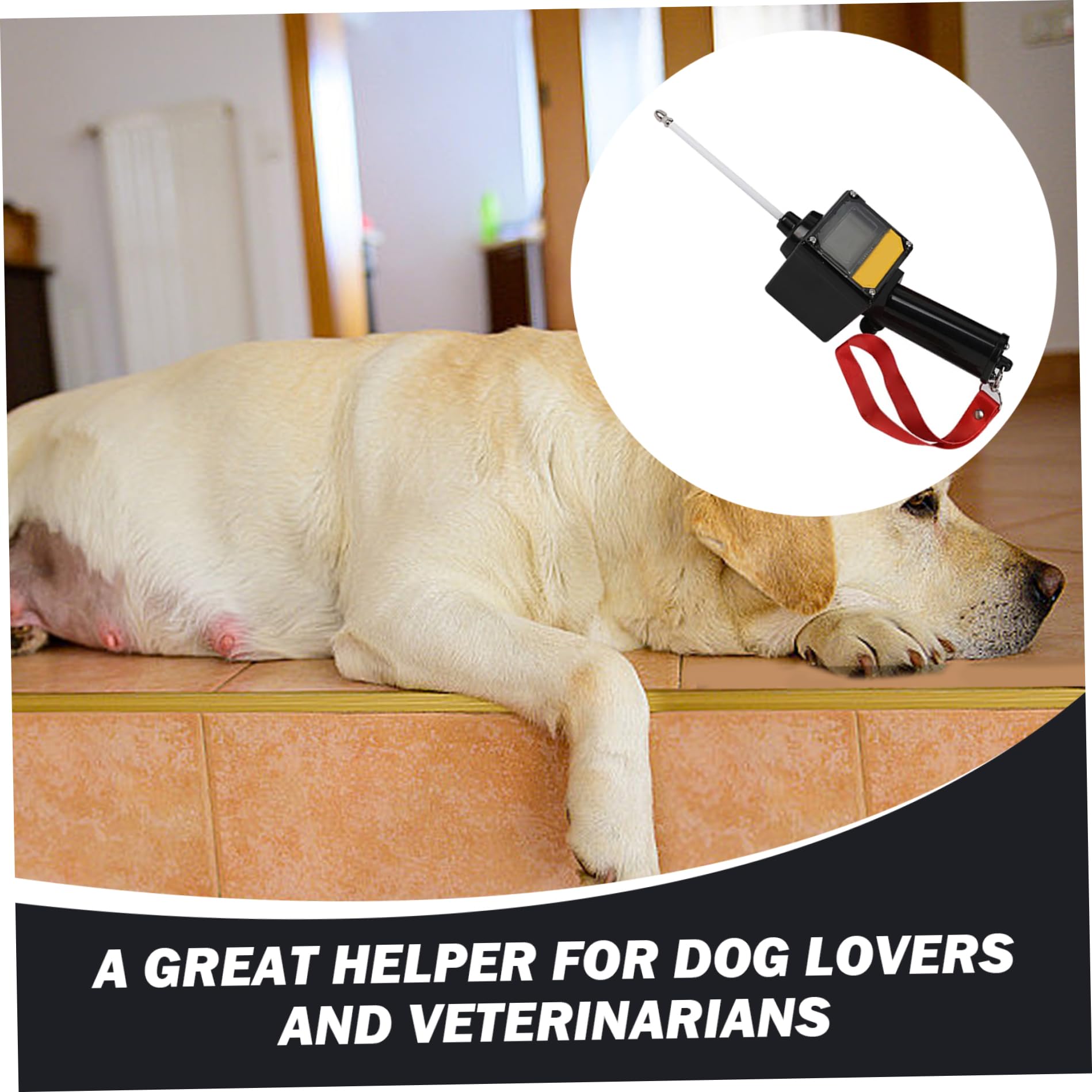 Détecteur d'ovulation pour chien 2 LCD Test de progestérone imperméable pour les chiens avec une sonde magnétique et une lonyard Powered Dog Grossancy Test de reproduction pour chiens, Test de grosse