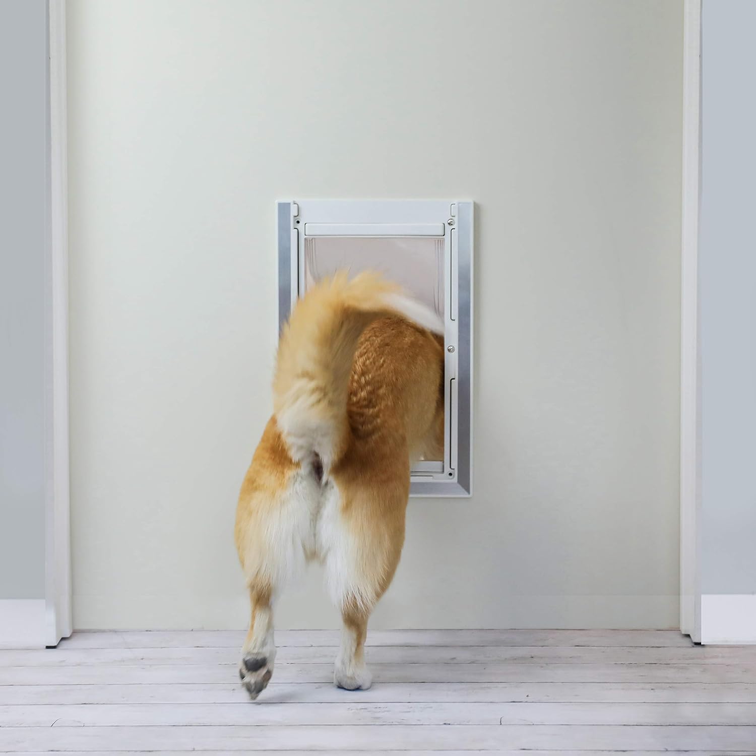 BarksBar Original Plastic Dog Door with Aluminum Lining and Soft Vinyl Flap, 2-Way Locking Sliding Panel, Telescoping Frame - 7 x 11.25 Inches Flap Opening, White : Pet Supplies