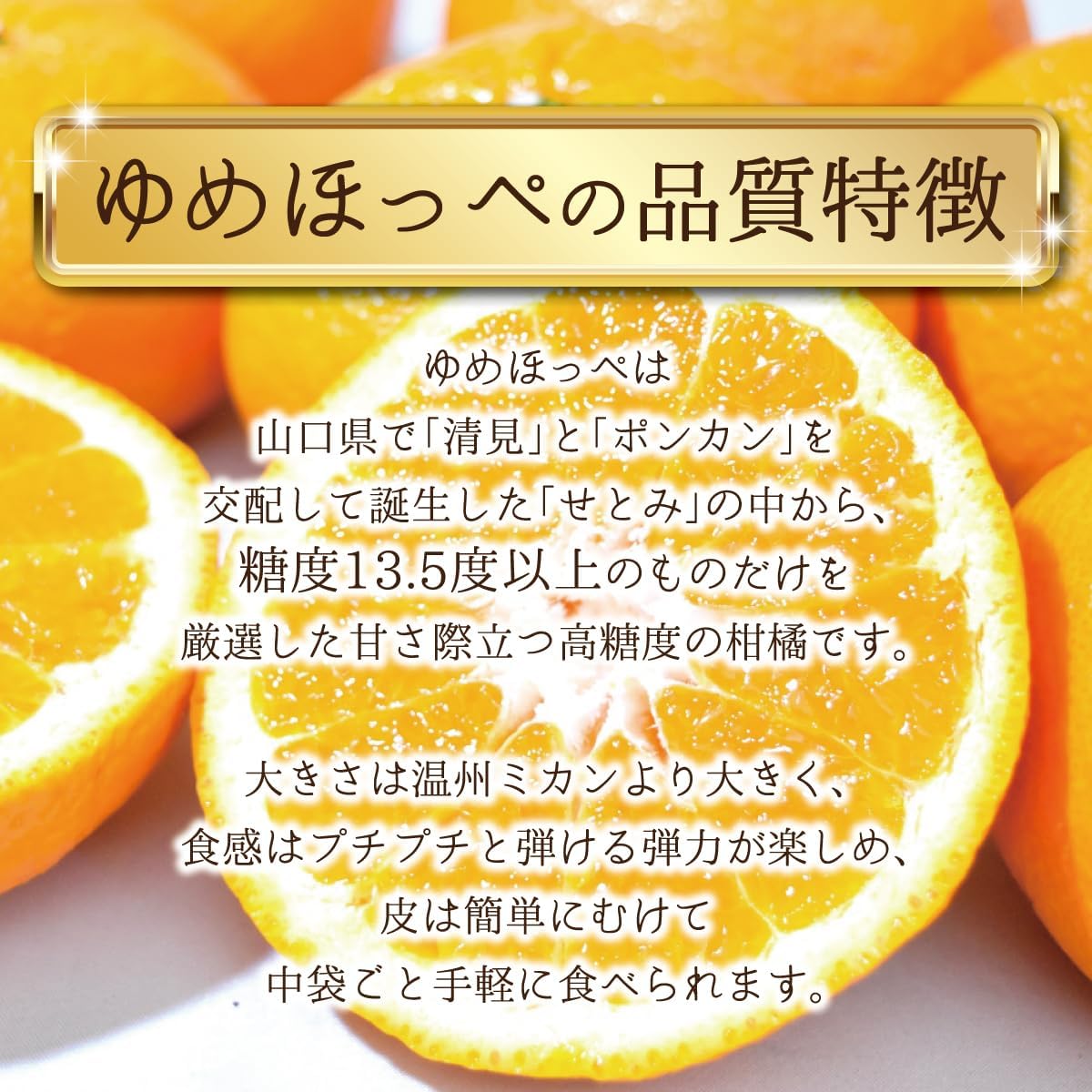 【糖度13.5度以上】 山口県産 糖度センサー認証済 ゆめほっぺ 3㎏ せとみ みかん 甘い 大きい 柑橘 ご家庭用 贈答用 可 西村青果
