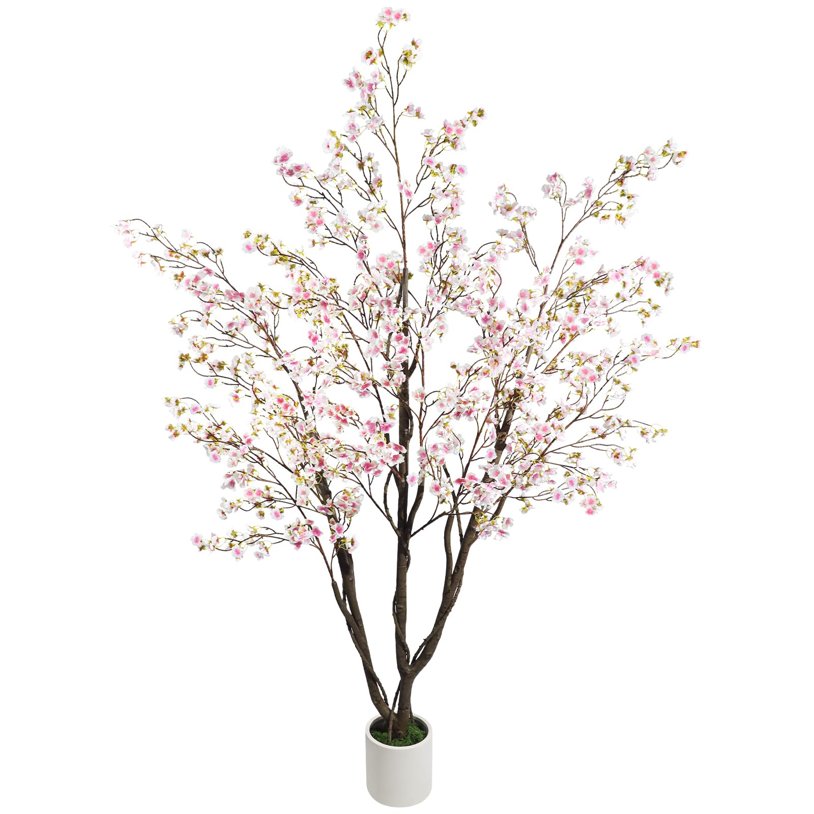 Caxchiling 6FT Cherry Blossom Tree