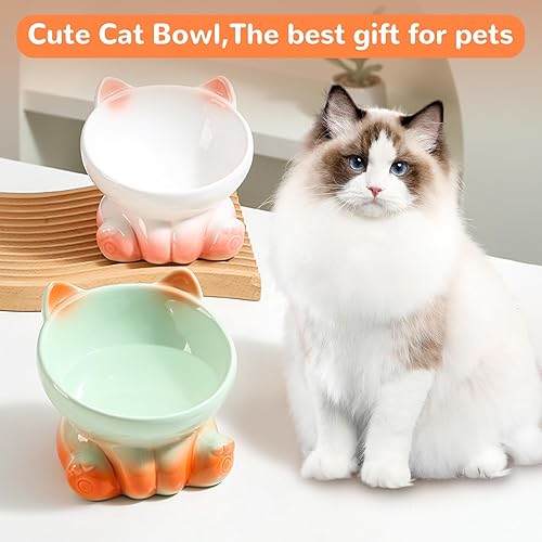 Miniatura 7 de Cuencos elevados para gatos, cuencos elevados para gatos de interior, cuencos inclinados de comida para gatos aptos para bigotes, lindo cuenco de