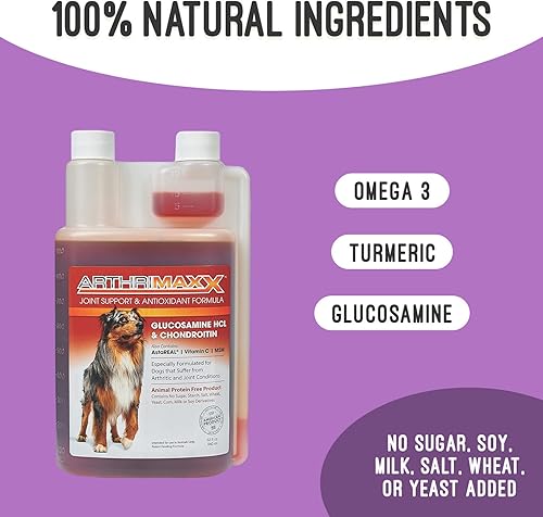 Miniatura 8 de Suplemento para perros para inflamación articular y artritis, cuidado natural de las articulaciones del perro, fórmula antioxidante con MSM,