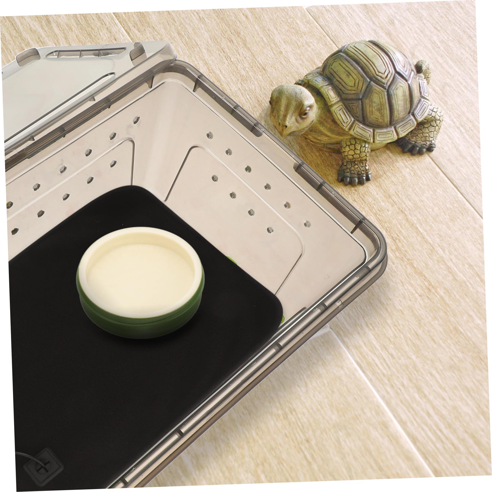 BESPORTBLE Reptile Feeding Dish with Non Slip Bottom Versatile Plastic Bowl for Lizards Turtles and Snakes Easy to Clean and Maintain for Small Pets and Reptiles