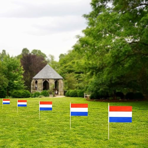 Miniatura 7 de QQSD Banderas de mano pequeñas de Países Bajos, bastón de madera maciza con punta de lanza, paquete de 12