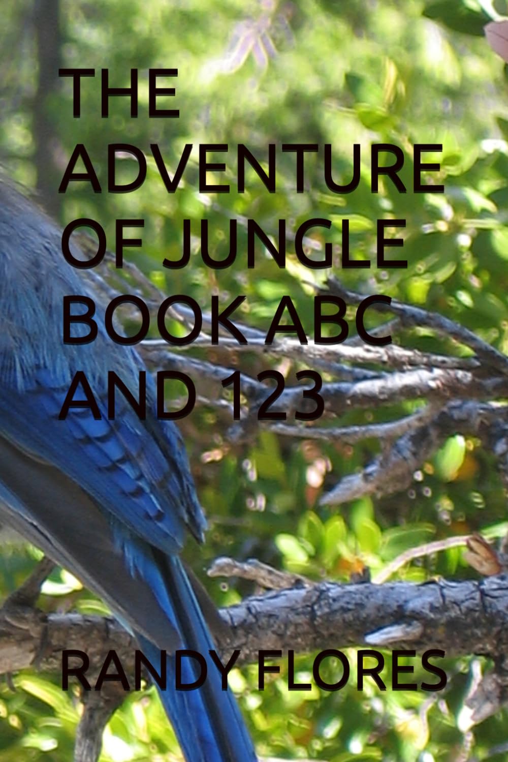 THE ADVENTURE OF JUNGLE BOOK ABC AND 123