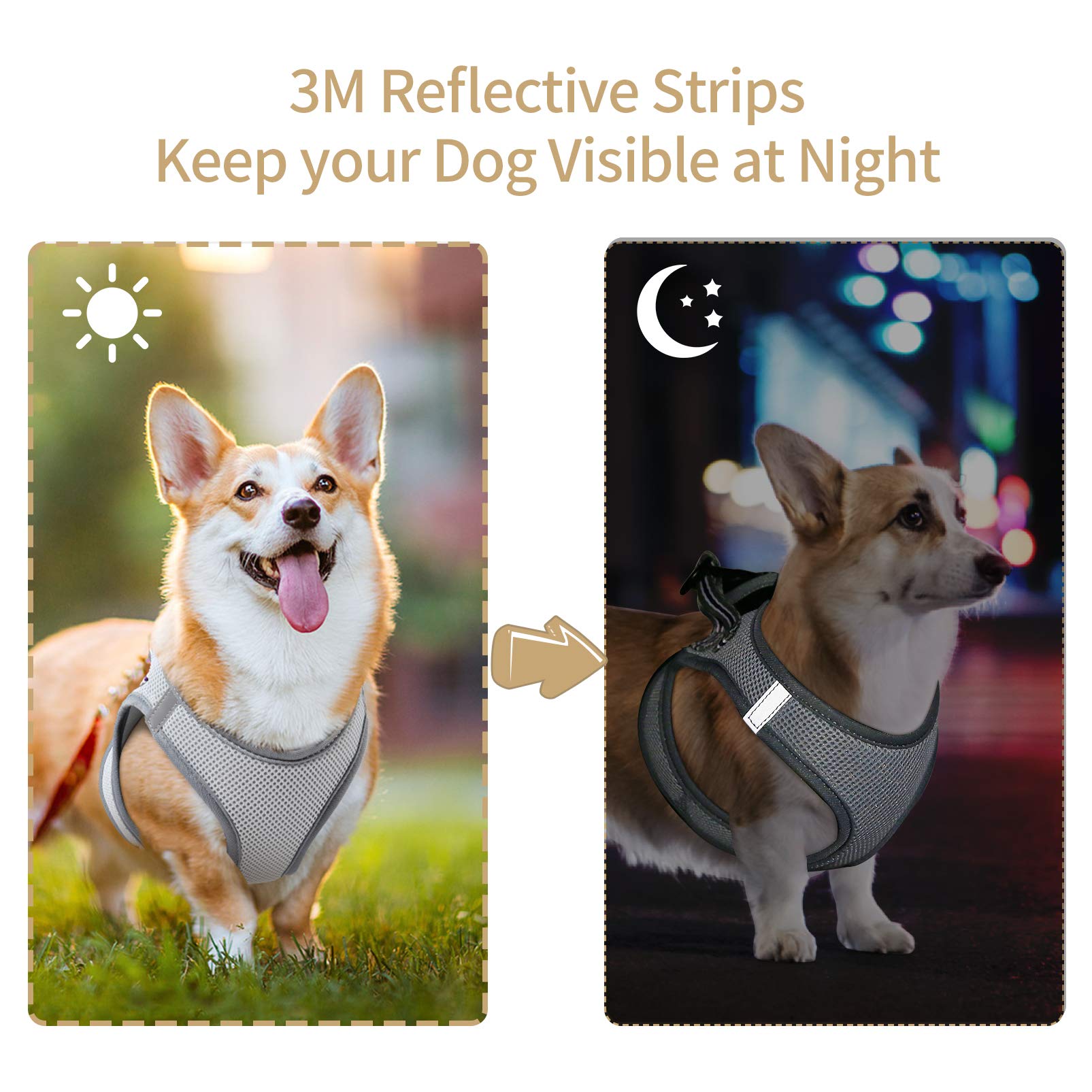 HEELE Arnes Perro Pequeño con Lineas Reflecantes Arnés Perro Antitirones Ajustable Suave Acolchado Cómodo para Viajar Pasear con Mascota, Flores Nanranja, S — view 68