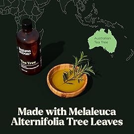 Lagunamoon Australian Tea Tree Essential Oil (150ml) - XXL Bottle with Drops for Candle Making Scents and Cleaning Products - Fragrance Oil for Aromatherapy, Relaxation, Diffusers, Yoga, Home Care