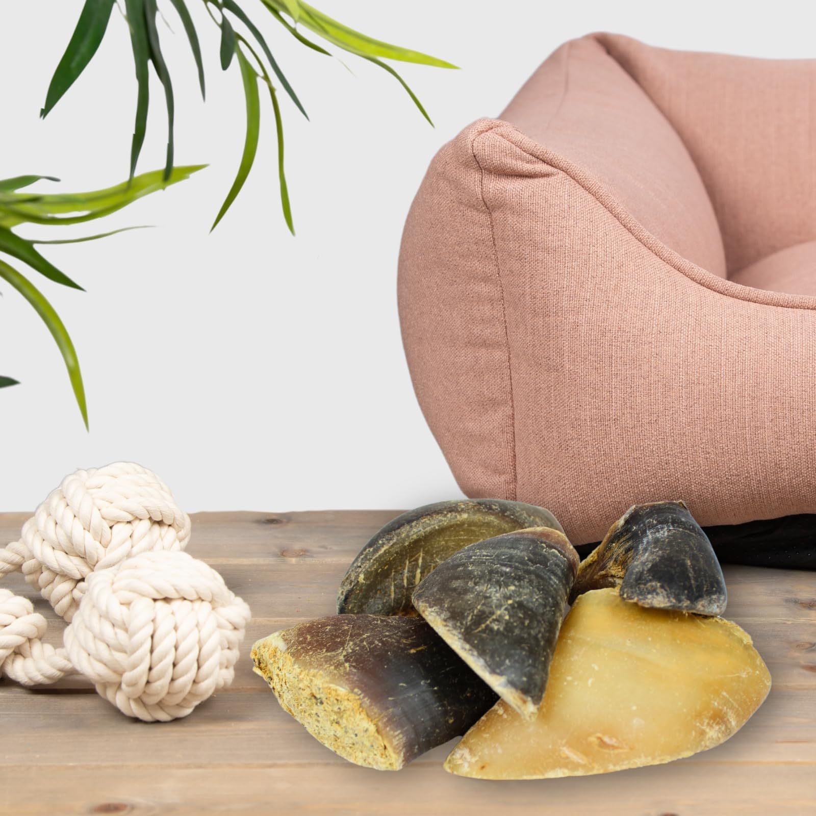 Lyra Pet® 15 STK. Rinderhufe gefüllt mit Pansen und Leber je ca. 120 g | Naturbelassener Kausnack - Ideal für die Zahnpflege - Proteinreiches Leckerli für Hunde - Gut verdaulicher Kauartikel