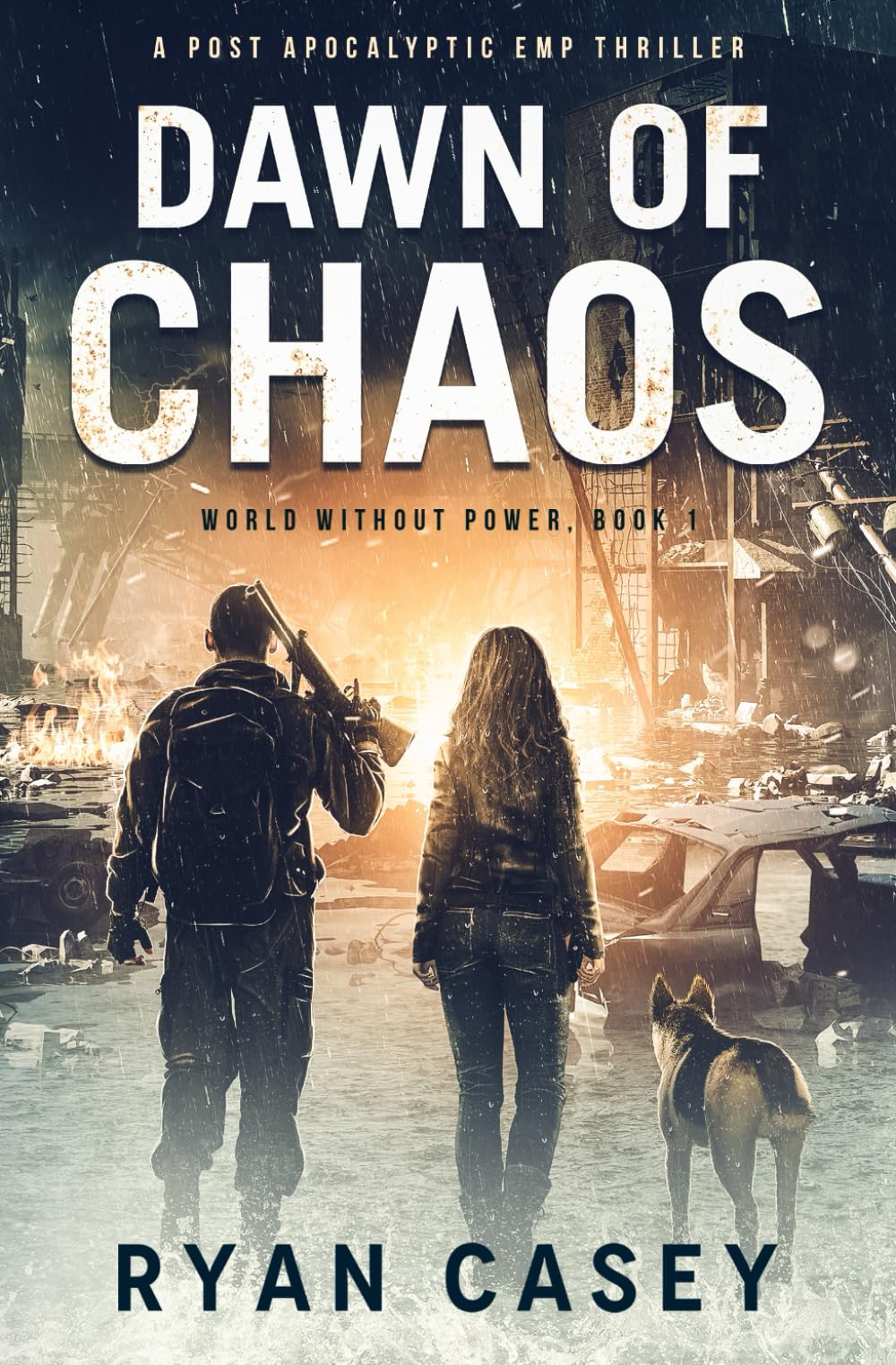 Dawn of Chaos: A Post Apocalyptic EMP Thriller: 1 (World Without Power)
