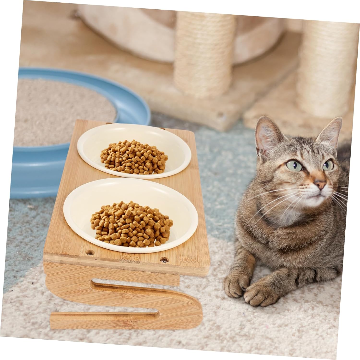 GALPADA Cute Raised Cat Bowl Elevated Ceramic Pet Bowl Stand Kitten Feeding for Comfort Easy to Clean