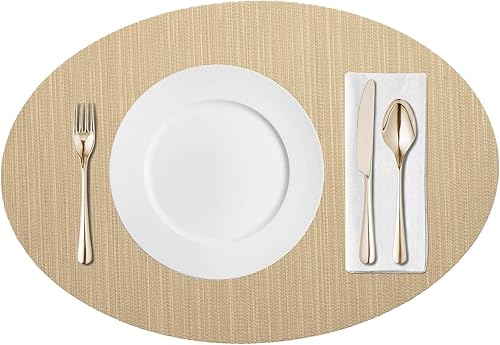AHHFSMEI Manteles individuales para mesa de comedor, vinilo tejido, de plástico, antideslizantes, aislamiento de calor, resistentes a las manchas,