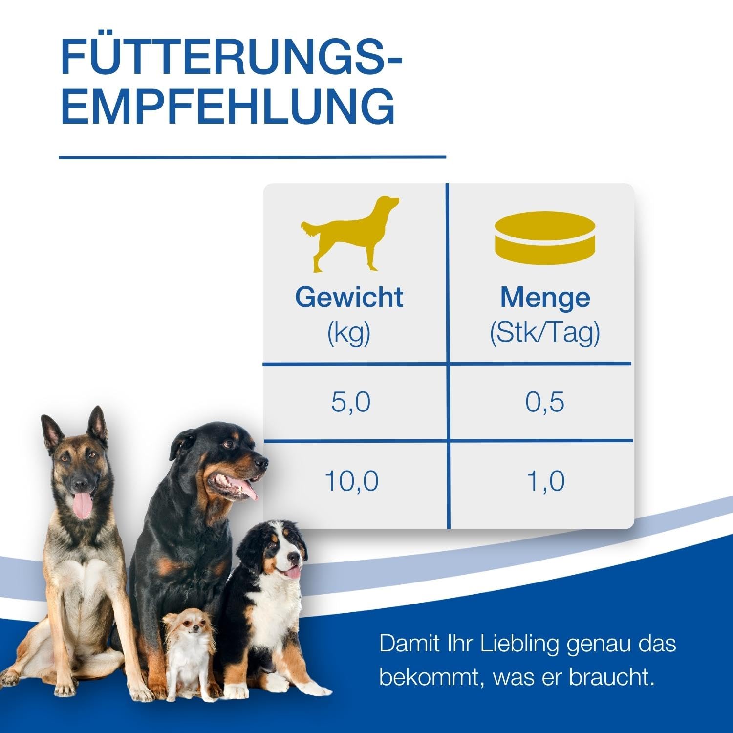 NutriLabs Canicox-HD Gelenktabletten für Hunde zur Unterstützung bei Gelenksproblemen mit Glucosamin, Chondroitin & Acid Protect Hund Magenkräuter Kautabletten zur Unterstützung