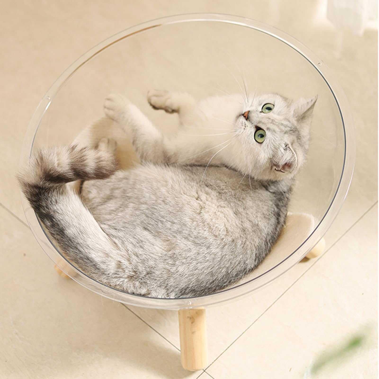 Kleines Katzenbett, Napfbett mit Holzsockel – Acryl, transparent, Kuppelhaus, Kleintierzubehör zum Ausruhen, Schlafen, Faulenzen, Welpen,