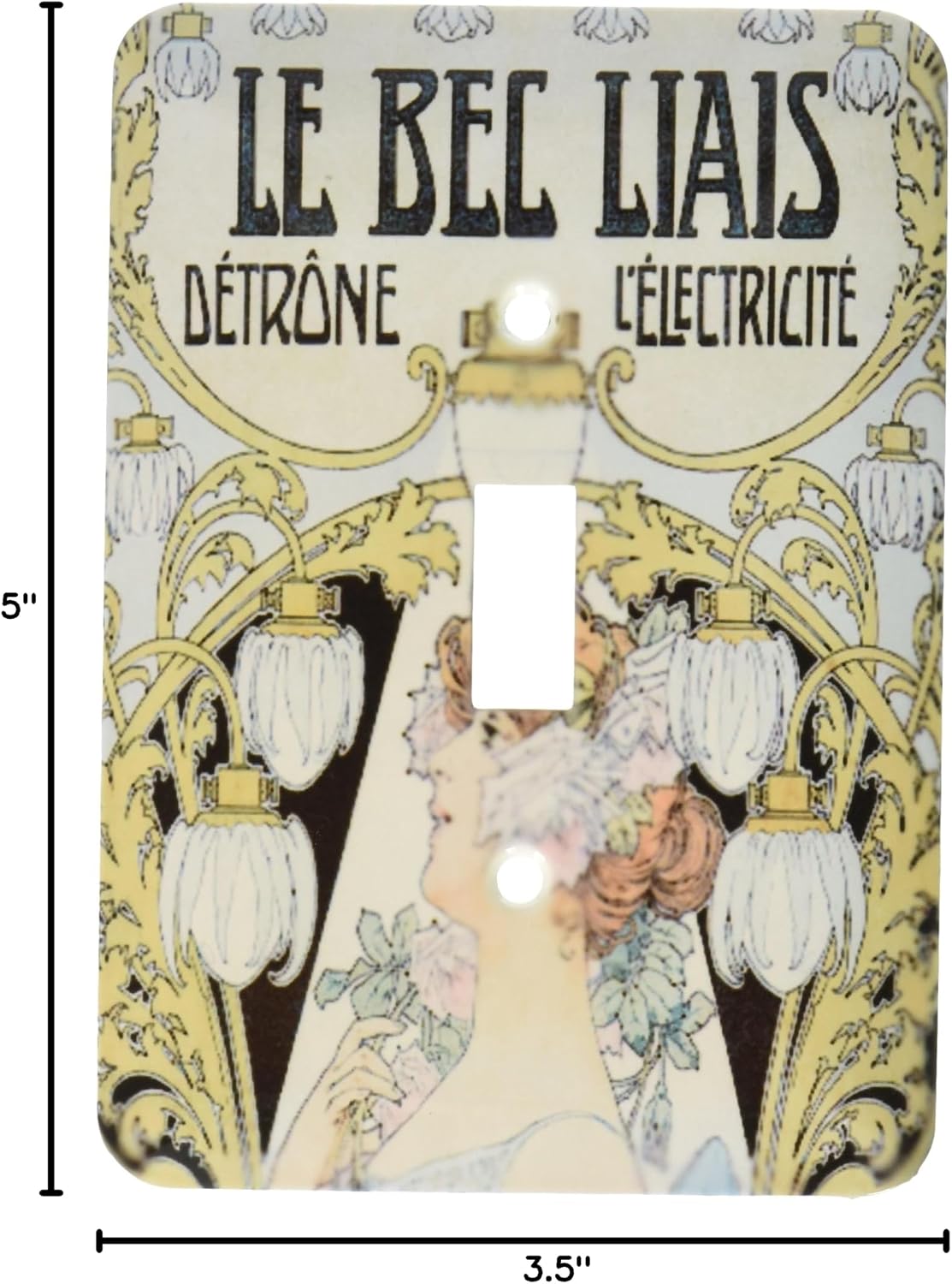 3dRose LLC lsp_110393_1 Le Be Liais French Vintage Art Single Toggle Switch