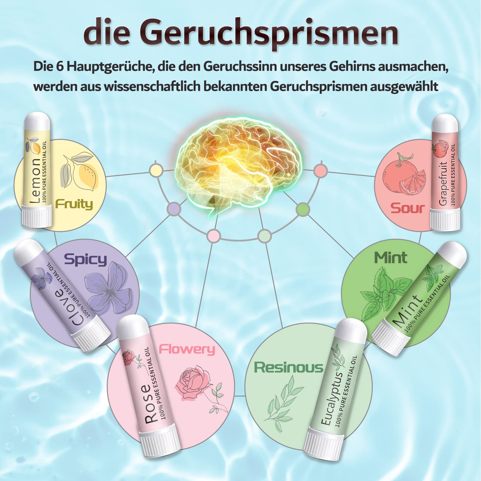 Hion Kit de Formation Smell, 6 Huiles Essentielles, kit de Formation Olfactif Aide à Retrouver Votre Sens de l'odorat, Huiles Essentielles de Citron Menthe Rose Pamplemousse Clou de Girofle