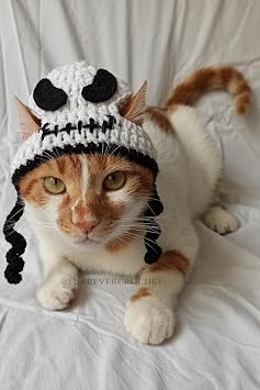 Jack Skellington Bere Halloween  rg  Kedi K pek  apkas  Evcil Hayvan  apkas  Pet Aksesuarlar