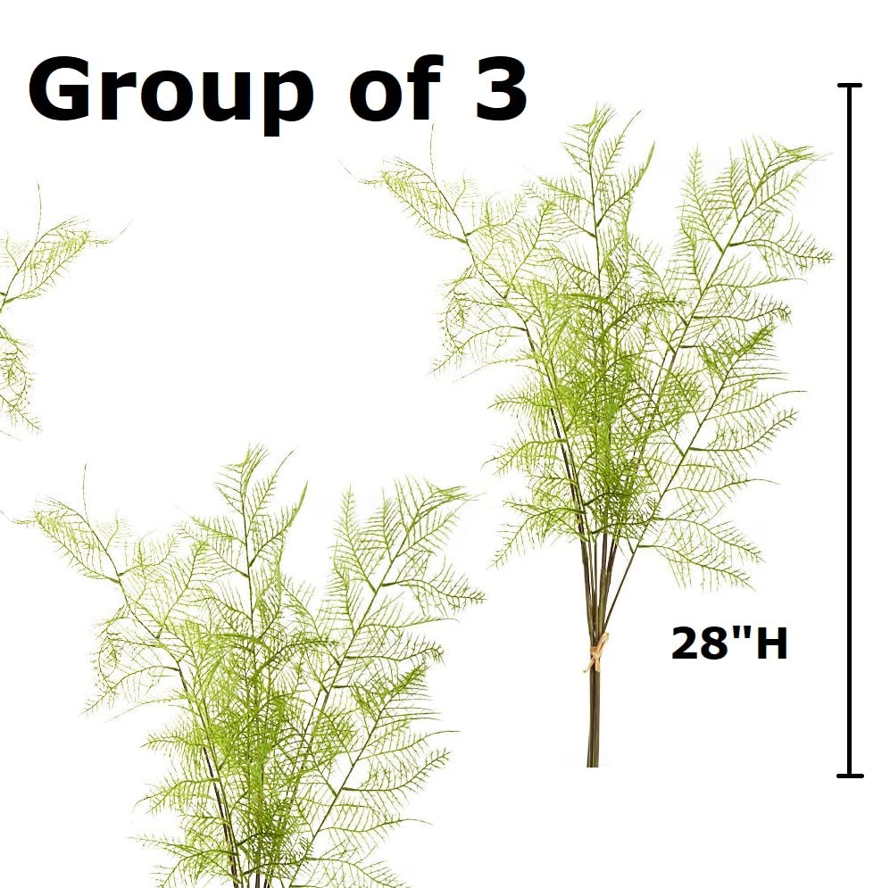 Factory Direct Craft Group of 3 Artificial Asparagus Fern Sprays for Summer Arrangements and Displays - 28