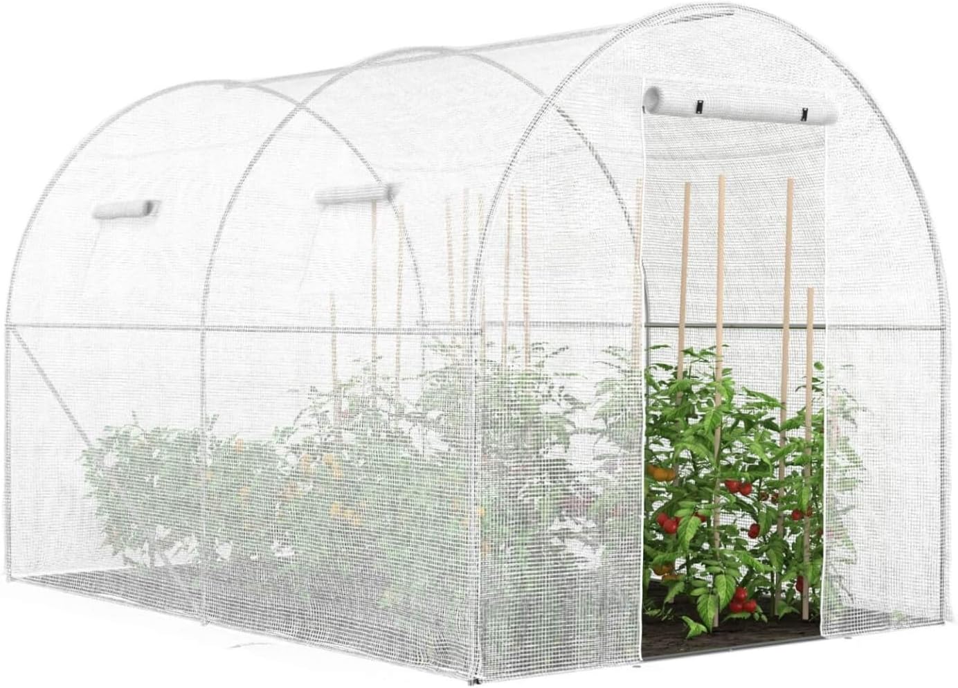 IDMarket Serre de jardin tunnel 6m² blanche ROMA