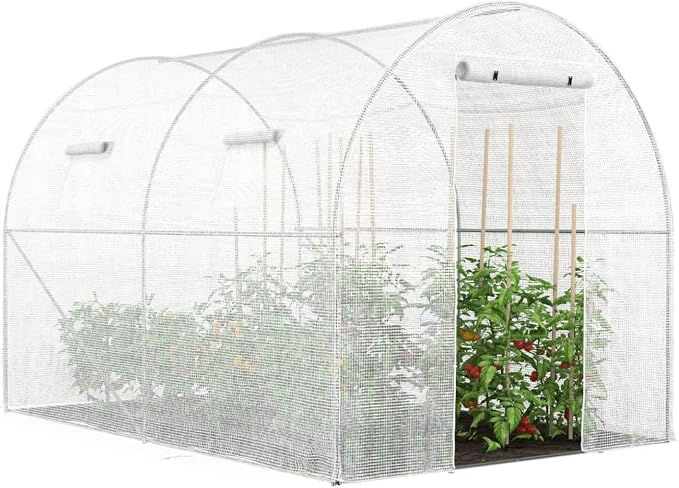 Serre tunnel IDMarket Roma blanche 6 m²
