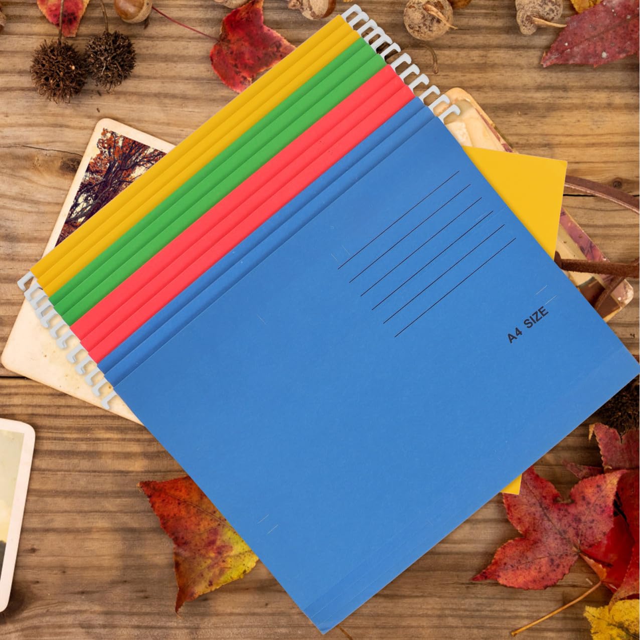 12 pezzi Sospese Colorate con Ganci in Ferro Rinforzato Organizer Documenti Resistente e Anti-deformazione per Ufficio Casa e Studio