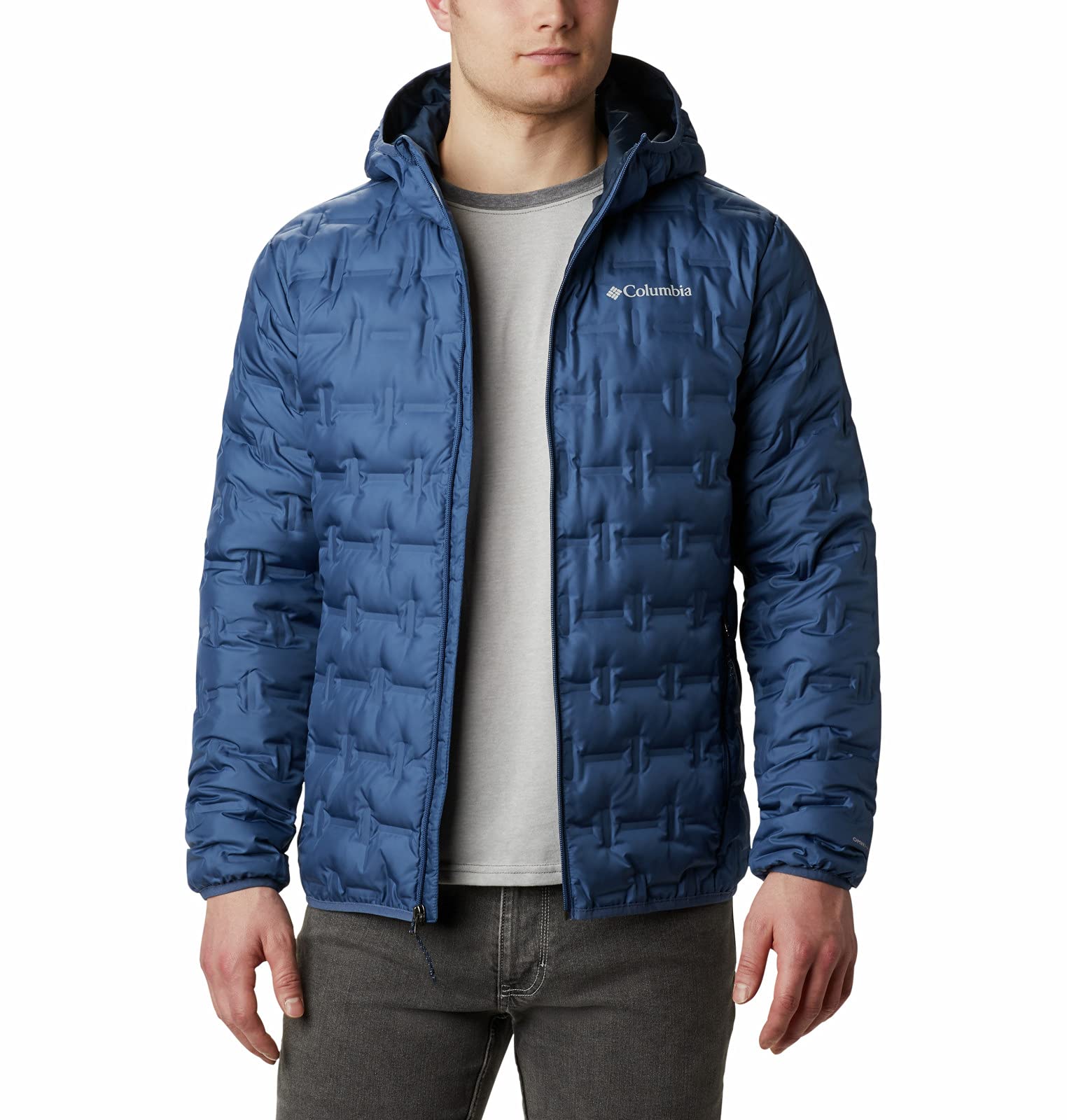 Mens Delta Ridge Down Hooded Jacket